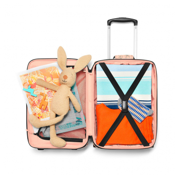 Чемодан детский Trolley XS Cats and dogs, Rose