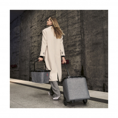 Сумка-тележка Carrycruiser Twist Silver